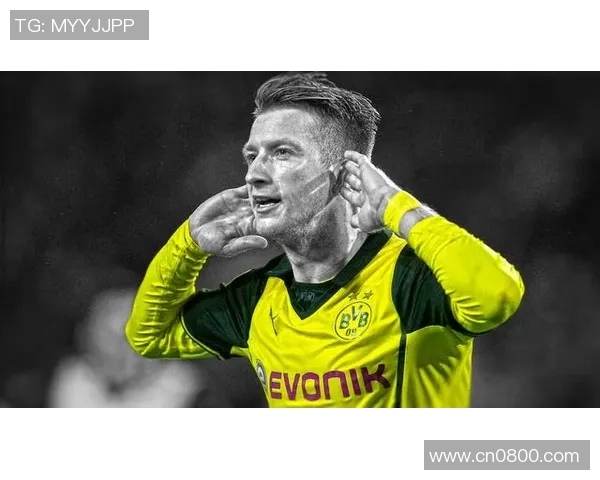 汉堡计划续租武斯科维奇一年并与热刺展开谈判同时多特也在关注他的动态